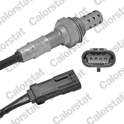 Oxygen Sensor